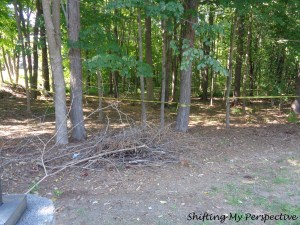 9 7 17 with word overlay