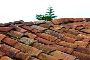 1.17.20 Lowering Them Down Through the Roof (2)