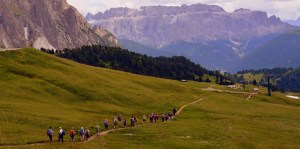 3.20.20 We All Need to Be Moses